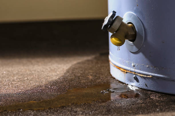 Best Residential water damage restoration  in Plainview, MN