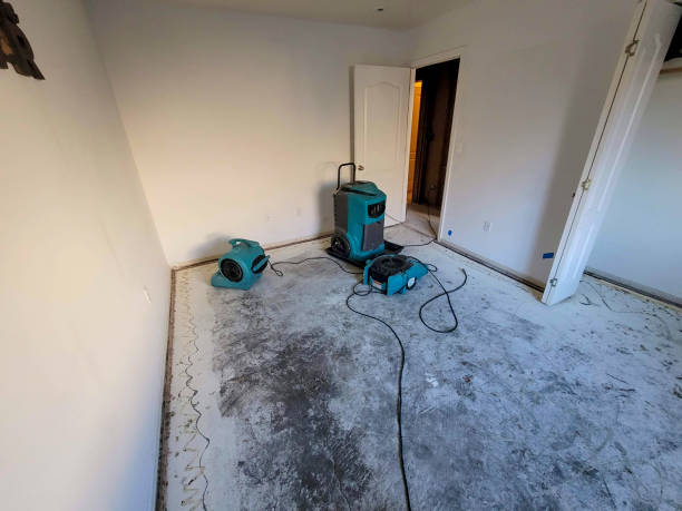 Best Fire Damage Restoration  in Plainview, MN