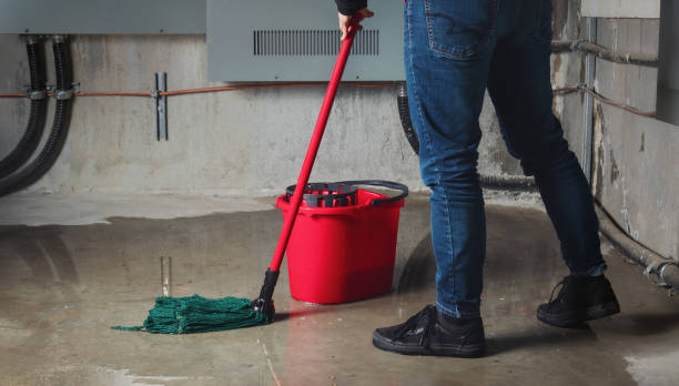Best Water damage restoration services  in Plainview, MN