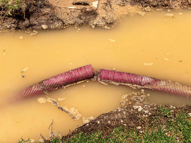 Best Water damage restoration near me  in Plainview, MN