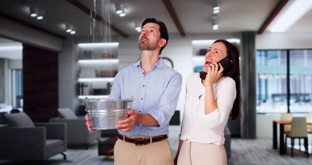 Best Flooded house restoration  in Plainview, MN